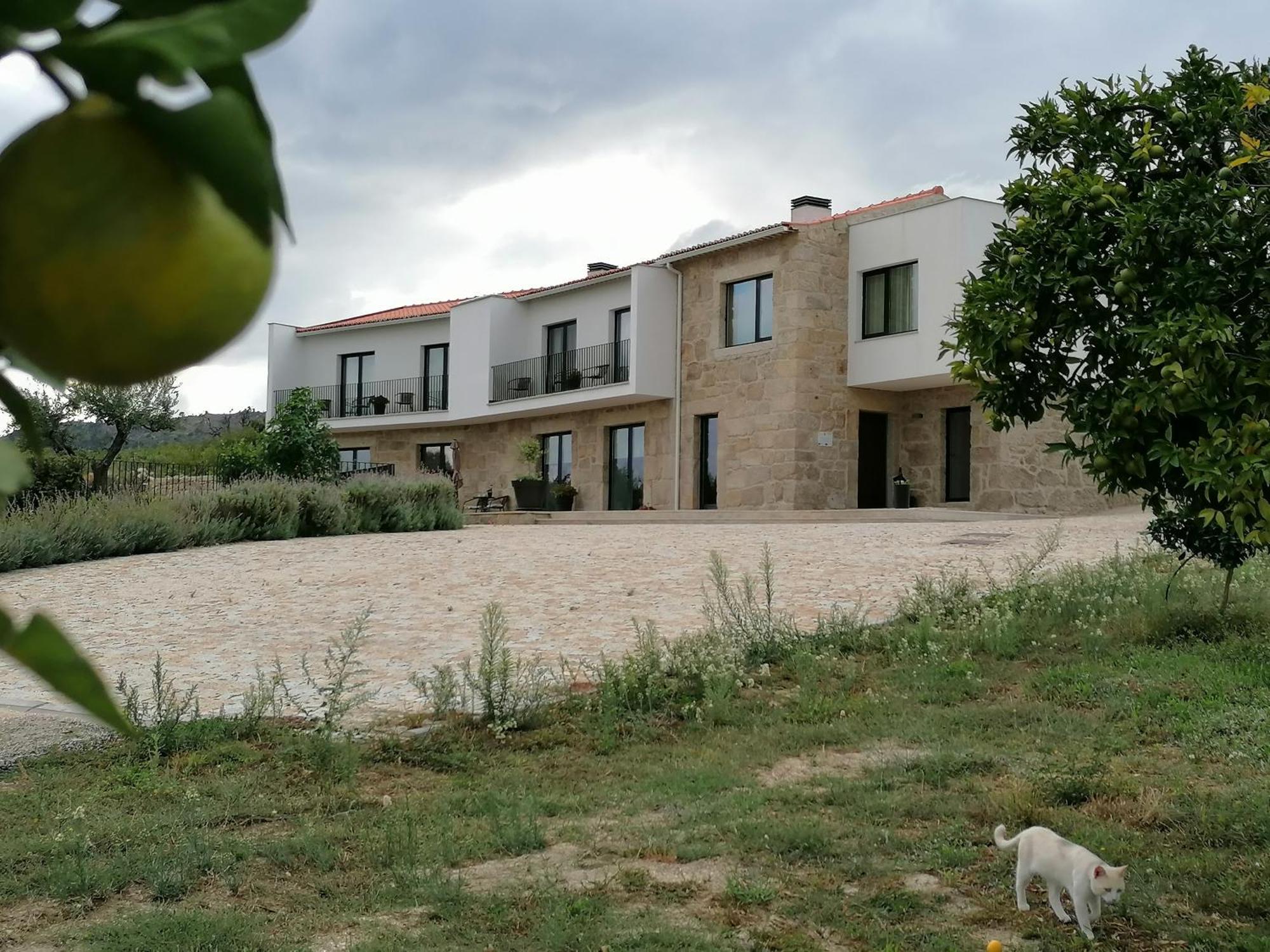 Carvalhal Redondo - Farm House Castelo Novo Eksteriør billede